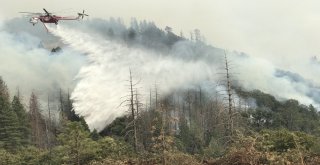 Kaliforniyada Devam Eden Yangınlar Söndürülemiyor