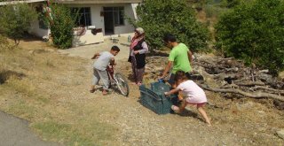 Antalyada Bir Mahallede 2 Aydır İçme Suyu Sıkıntısı Yaşanıyor