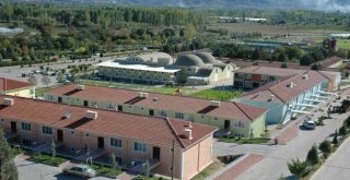 Eynalda Doluluk Yüzde Yüz