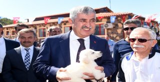 Doğal Yaşam Parkı Ve Hayvan Barınağı Açıldı
