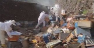 Adeta Arı Kovanının İçine Girdiler