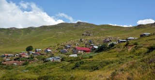 Sıhırçukuru Yaylası, Eşsiz Manzarasıyla Büyülüyor