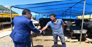 Ortahisar, Kurban Hazırlıklarını Tamamladı