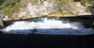 Dünyanın En Genç Şelalesi 400 Bin Misafire Ev Sahipliği Yapıyor