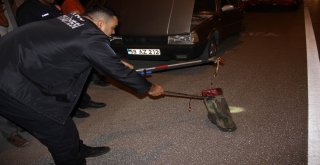 Otomobile Giren Yılana Biber Gazlı Müdahale