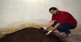 Sökede Genç Girişimci Evinin Bodrumunda Solucan Gübresi Üretiyor