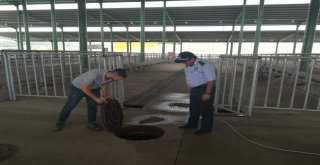 Kurbanlık Ön Kayıtlarına Yoğun İlgi