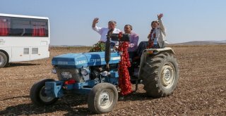 Gaziantep Fıstığı Dünyaca Ünlü Michelin Yıldızlı Şeflerin Reçetesine Giriyor