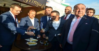 Gemlikte Zeytini Festivali Coşkusu