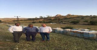Tandoğan; Van Organik Bal Üretim Merkezi Olacak