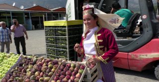 Taze İncire Zeybekli İhracat
