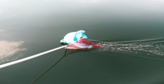 Denizler Ve Sahiller Artık Daha Temiz