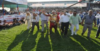 Altın Kirazın Başpehlivanı Ali Gürbüz Oldu