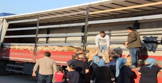 50 Kuruşa Satılan 120 Ton Patates Dakikalar İçinde Tükendi