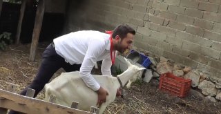 (Özel Haber) İşkencelerle Canından Bezen Damat Çatıya Çıktı