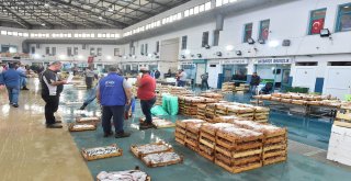 Sebze Ve Balık Haline Paket Arıtma Geliyor