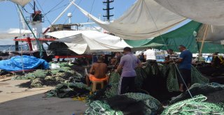 Ordulu Balıkçılar Yeni Sezona Tam Gaz Hazırlanıyor