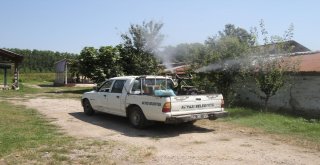 Akyazıda Kurban Kesim Yerleri Hem Denetleniyor Hem De İlaçlanıyor