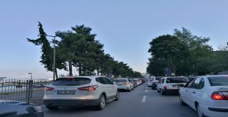 Orduda 133 Bin 581 Motorlu Taşıt Var