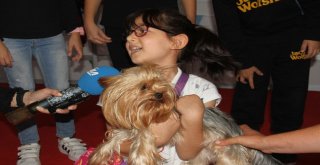 Petzoo Ankara Fuarı 2İnci Kez Kapılarını Açtı