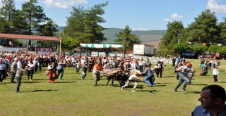 Yörük Türkmenlerinden Birlik Ve Beraberlik Mesajı