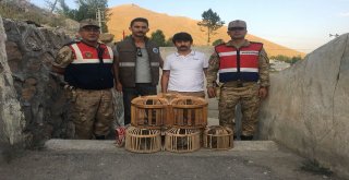 Vanda Kafes Avcılığı Yapan 2 Kişiye Para Cezası Verildi