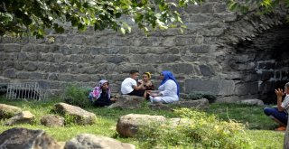 Tehlikeye Aldırış Etmeden Serinliyorlar