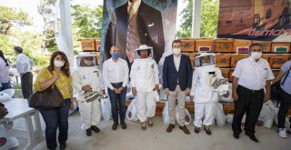 Büyükşehir üreticilere 464 arılı kovan 232 arısız kovan hibe etti