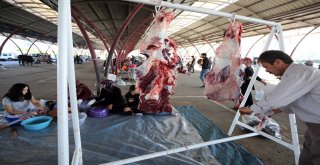 Yenimahallede Kurban Bayramı Coşkusu