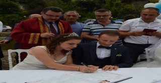 22 Çiftin Nikâhı Aynı Günde Kıyıldı
