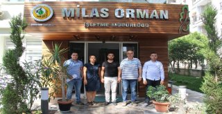 Milasta Orman Şehitleri İçin Lokma Dağıtıldı