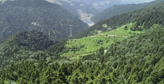 Uzungöl ‘Teleferik Projesinde İlk Adım Atıldı