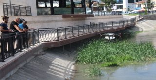 Haşerelere Karşı Biodrone İle İlaçlama