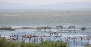 Vali Yazıcıdan Davet; Lütfen Balıkesire Gelin