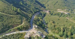 Yarım Asırlık Hasret Sona Erdi