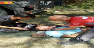 Daktan Motofeste Destek