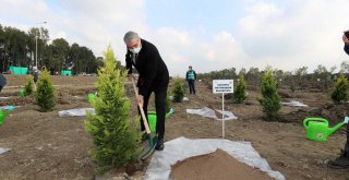 Sakarya'da fidanlar toprakla buluştu