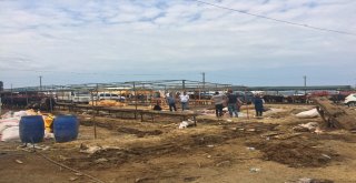 Bayramın İlk Gününde Kurbanlıkların Yarısı Satıldı