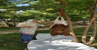 Gerçekler Dünyasından 83 Aileye Kurban Yardımı