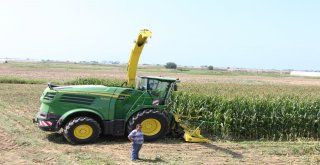 Antalyada Yılın İlk Silaj Üretimi Başladı