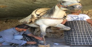 Nalcılık Kaybolmaya Yüz Tuttu