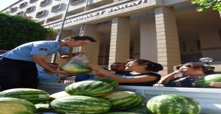 Hükümlüler Karpuz Üretti, Müşterisi Hakim Savcılar Oldu