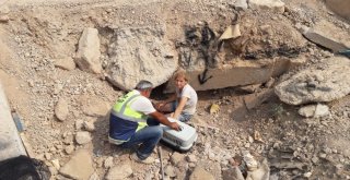 Yürek Sızlatan Görüntüye Hayvanseverden Çağrı: Ne Olur Yardım Edin