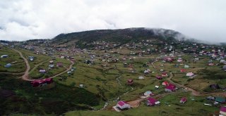 Yaylalardaki Yıkımlar En Fazla Ve İzinsiz Yapılaşmanın Olduğu Sis Dağı Yaylasında Devam Ediyor