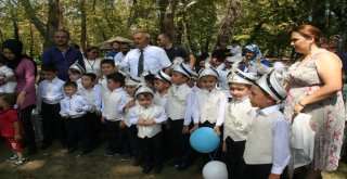 Devrek Belediyesinden Toplu Sünnet Şöleni