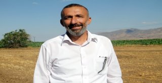 İklim Değişikliği Arıları Etkiledi, Bal Üretimi 5 Kat Düştü
