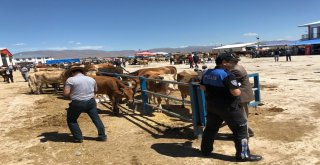 Hayvan Pazarında Ki Vatandaşlar Sahte Para Konusunda Uyarıldı