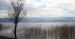 Sapanca Gölünün Seviyesi İyi Durumda