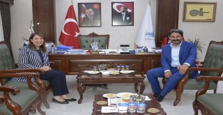 Günayın İlk Resmi Ziyareti Seyitgaziye