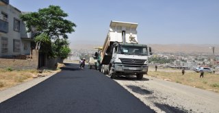 Cizre Belediyesinden Sıcak Asfalt Çalışması